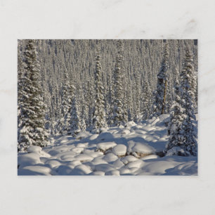 Kanada, Alberta, Jasper-Nationalpark. Postkarte
