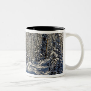 Kanada, Alberta, Jasper-Nationalpark. Zweifarbige Tasse