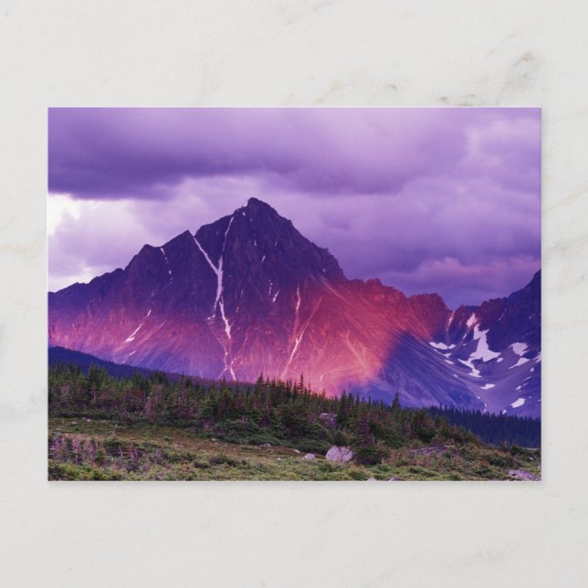 Kanada, Alberta, Kanada Postkarte (Vorderseite)