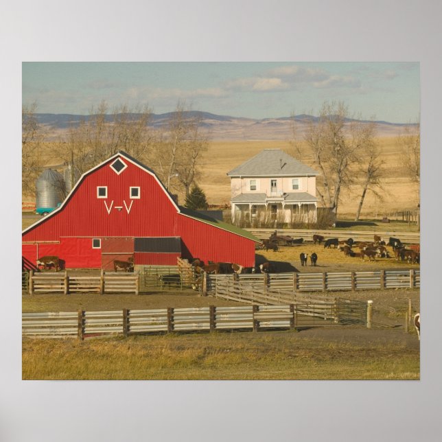 Kanada, Alberta, Pincher Creek: Red Barn & Ranch Poster (Vorne)