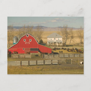 Kanada, Alberta, Pincher Creek: Rote Scheune & Ran Postkarte
