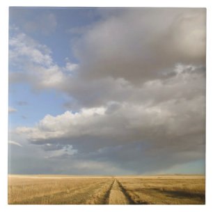 Kanada, Alberta, Stand Off: Landschaft mit Fliese