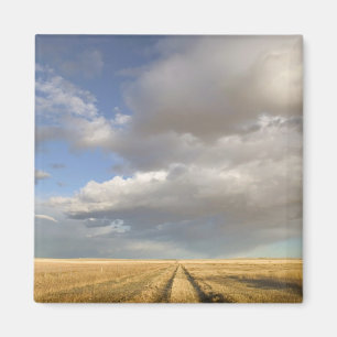 Kanada, Alberta, Stand Off: Landschaft mit Magnet