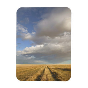Kanada, Alberta, Stand Off: Landschaft mit Magnet