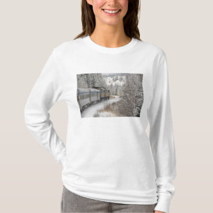 Kanada, Alberta. VIA Rail-Schneezug zwischen T-Shirt