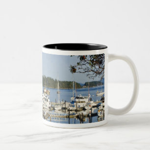 Kanada, BC, Gulf Islands, Salt Spring Island, Zweifarbige Tasse
