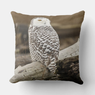Kanada, Boundary Bay, Snowy Owl Kissen