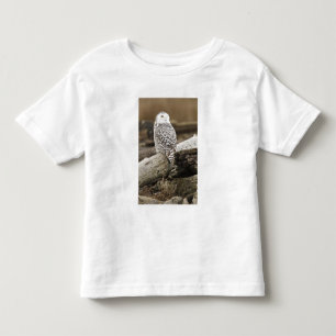 Kanada, Boundary Bay, Snowy Owl Kleinkind T-shirt