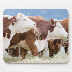 Kanada, Britisch-Columbia, Pemberton Mousepad