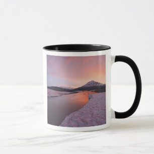 Kanada, British Columbia, Alsek-Flusstal. Tasse