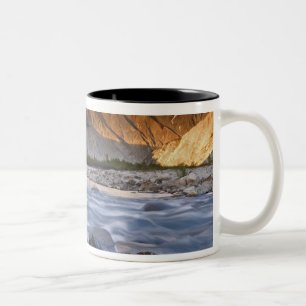 Kanada, British Columbia, Alsek River Valley.2 Zweifarbige Tasse