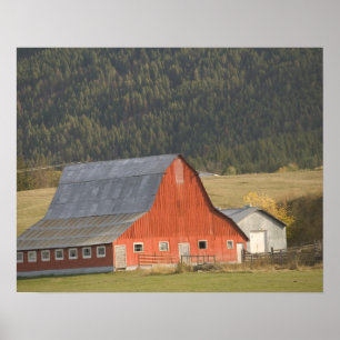 KANADA, British Columbia, Enderby. Rote Scheune / Poster
