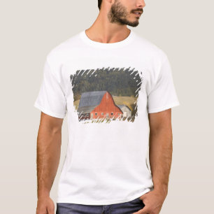 KANADA, British Columbia, Enderby. Rote Scheune / T-Shirt