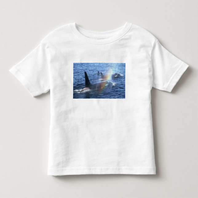 Kanada, British Columbia, Johnstone Straight, Kleinkind T-shirt (Vorderseite)