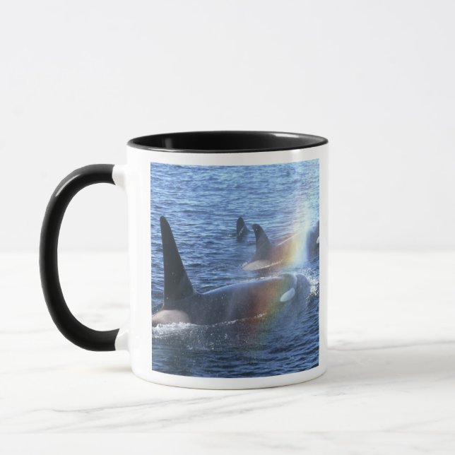 Kanada, British Columbia, Johnstone Straight, Tasse (Links)