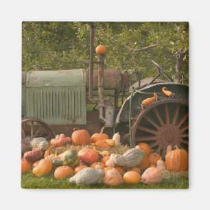 KANADA, British Columbia, Keremeos. Herbst / 2 Magnet