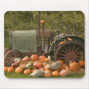 KANADA, British Columbia, Keremeos. Herbst / 2 Mousepad