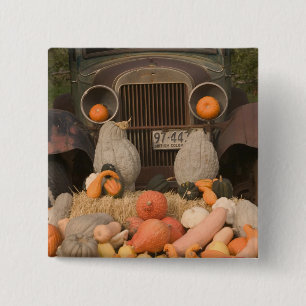 KANADA, British Columbia, Keremeos. Herbst / Button