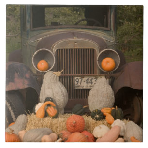 KANADA, British Columbia, Keremeos. Herbst / Fliese