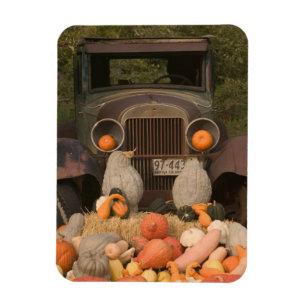 KANADA, British Columbia, Keremeos. Herbst / Magnet