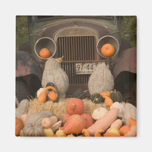 KANADA, British Columbia, Keremeos. Herbst / Magnet