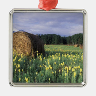 Kanada, British Columbia, Kitwanga. Gelb Silbernes Ornament
