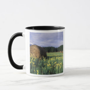 Kanada, British Columbia, Kitwanga.Gelb Tasse