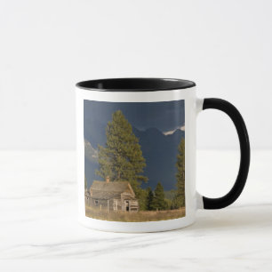 Kanada, British Columbia, Kootenay Rockies, Tasse