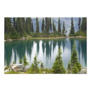 Kanada, British Columbia, Revelstoke National Fotodruck