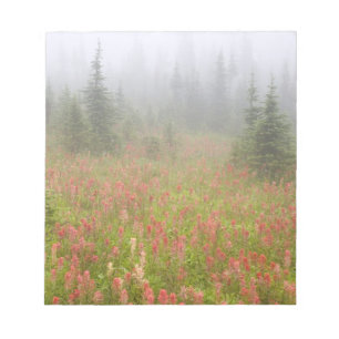 Kanada, British Columbia, Revelstoke National Notizblock