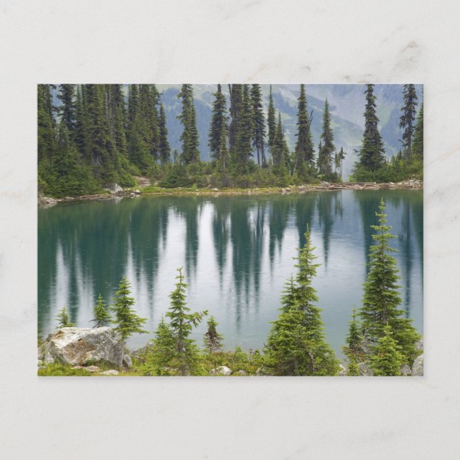 Kanada, British Columbia, Revelstoke National Postkarte (Vorderseite)