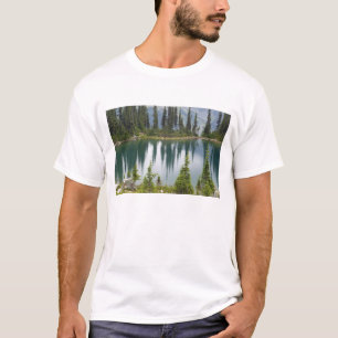 Kanada, British Columbia, Revelstoke National T-Shirt