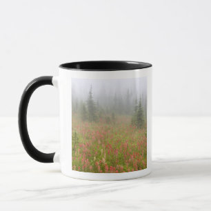 Kanada, British Columbia, Revelstoke National Tasse