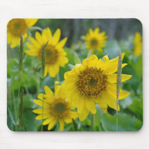 Kanada, British Columbia, Vancouver Island 5 Mousepad