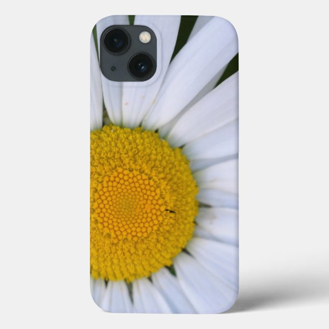 Kanada, British Columbia, Vancouver Island 8 Case-Mate iPhone Hülle (Rückseite)