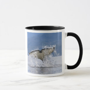 Kanada, British Columbia, Vancouver Island, Tasse
