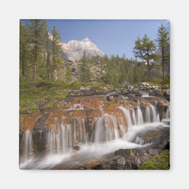 Kanada, British Columbia, Yoho National Park. 2 Magnet (Vorne)