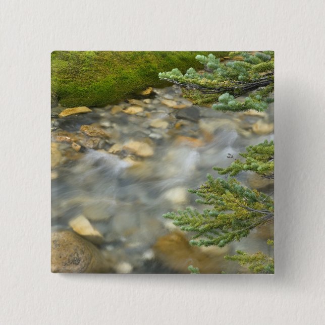 Kanada, British Columbia, Yoho National Park.4 Button (Vorderseite)