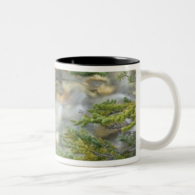 Kanada, British Columbia, Yoho National Park.4 Zweifarbige Tasse (Rechts)