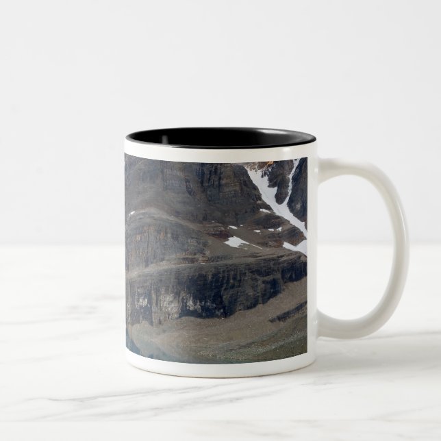 Kanada, British Columbia, Yoho National Park. Zweifarbige Tasse (Rechts)
