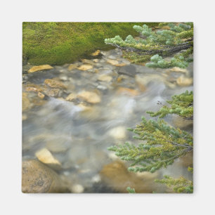 Kanada, British Columbia, Yoho-Nationalpark. 4 Magnet