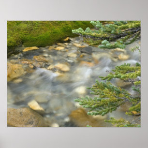Kanada, British Columbia, Yoho-Nationalpark. 4 Poster