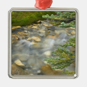 Kanada, British Columbia, Yoho-Nationalpark. 4 Silbernes Ornament