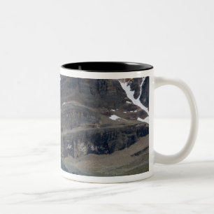 Kanada, British Columbia, Yoho-Nationalpark. Zweifarbige Tasse