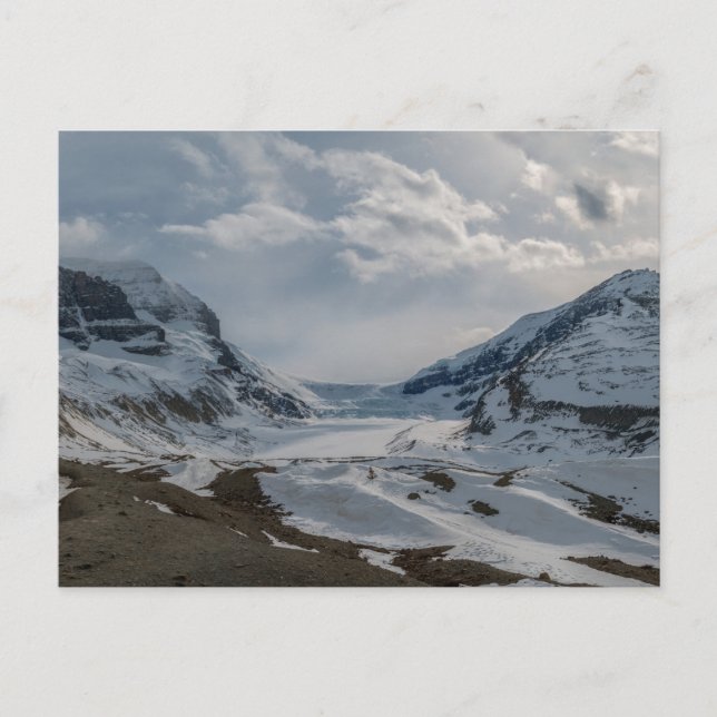 Kanada Columbia Icefield Panorama Postkarte (Vorderseite)