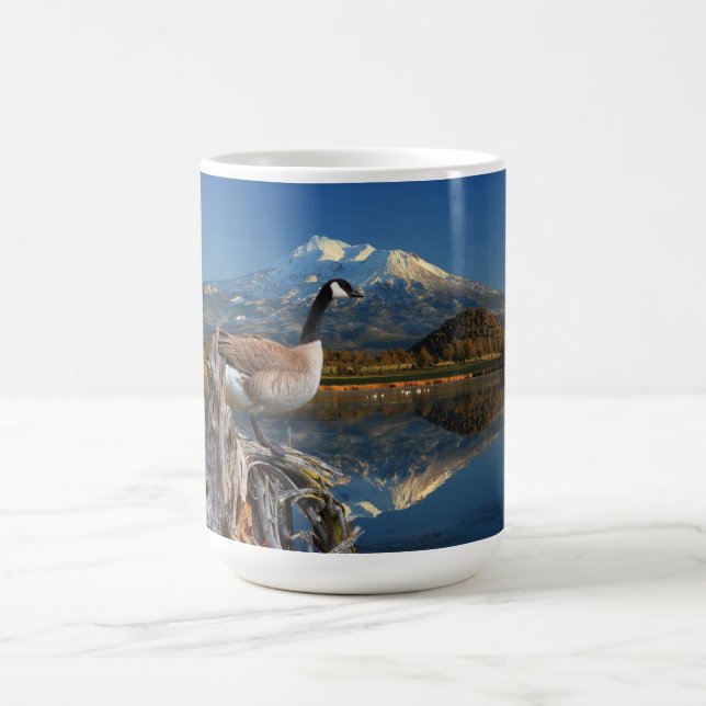 KANADA-GANS AUF DEM SEE KAFFEETASSE (Mittel)