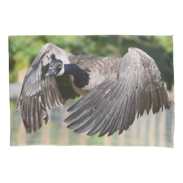 Kanada-Gans im Flug Kissenbezug (Vorderseite)
