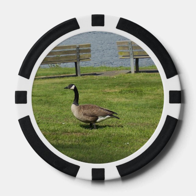 Kanada-Gans Pokerchips (Vorderseite)