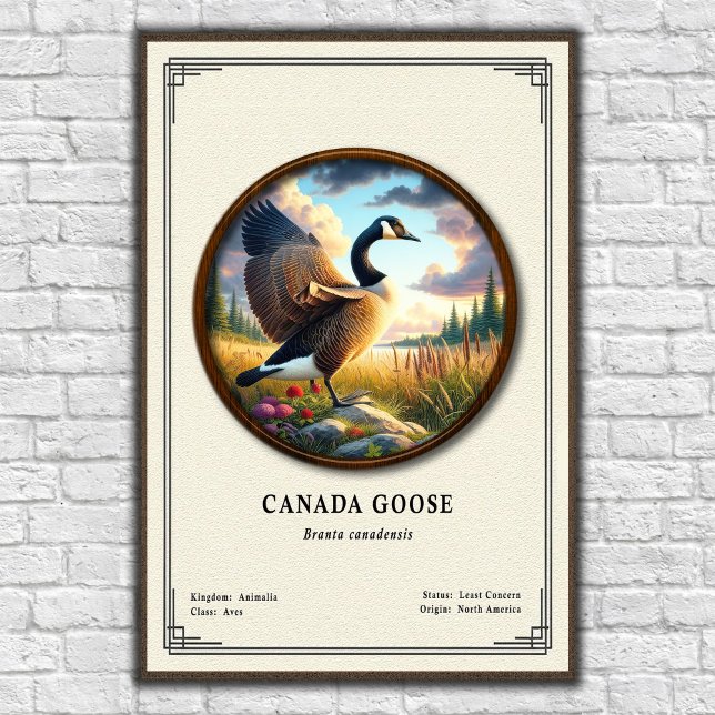 Kanada-Gans-Zoologie-Poster der Serie Poster (Von Creator hochgeladen)