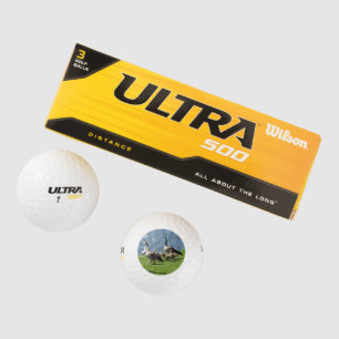 Kanada-Gänse auf dem Gras durch den Golfball